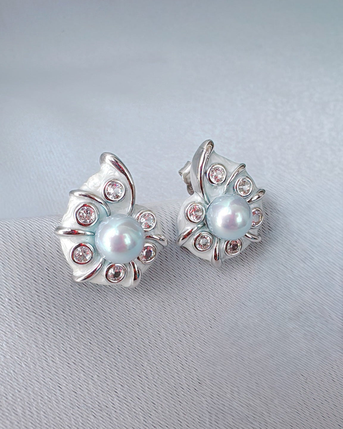 遺産の貝殻(青いアコヤ貝)