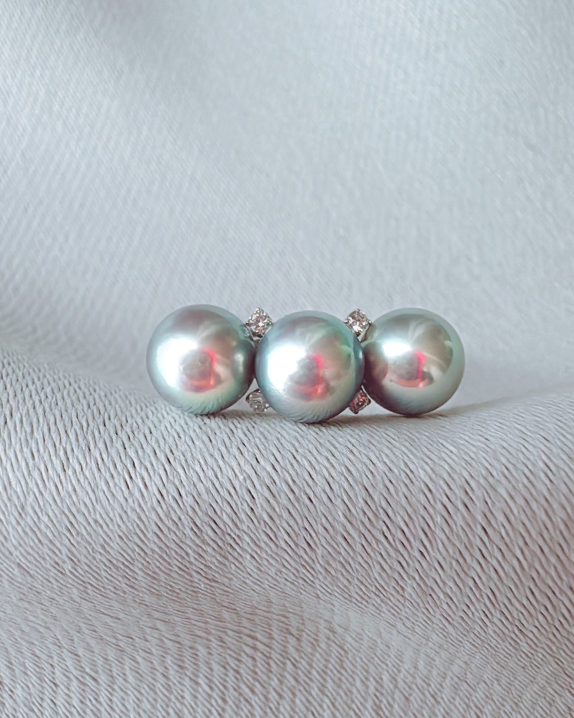 トリニティ・アコヤス(アコヤ)