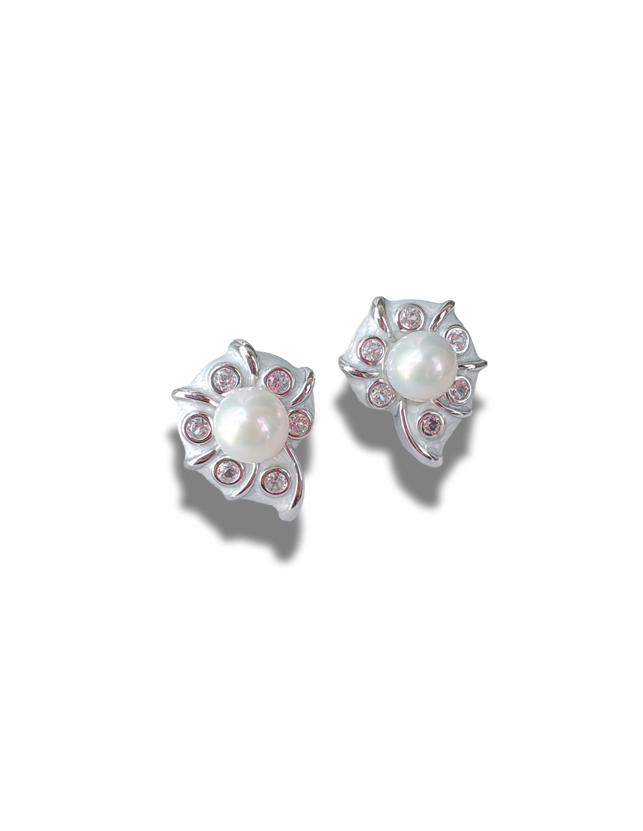 Venus Shells