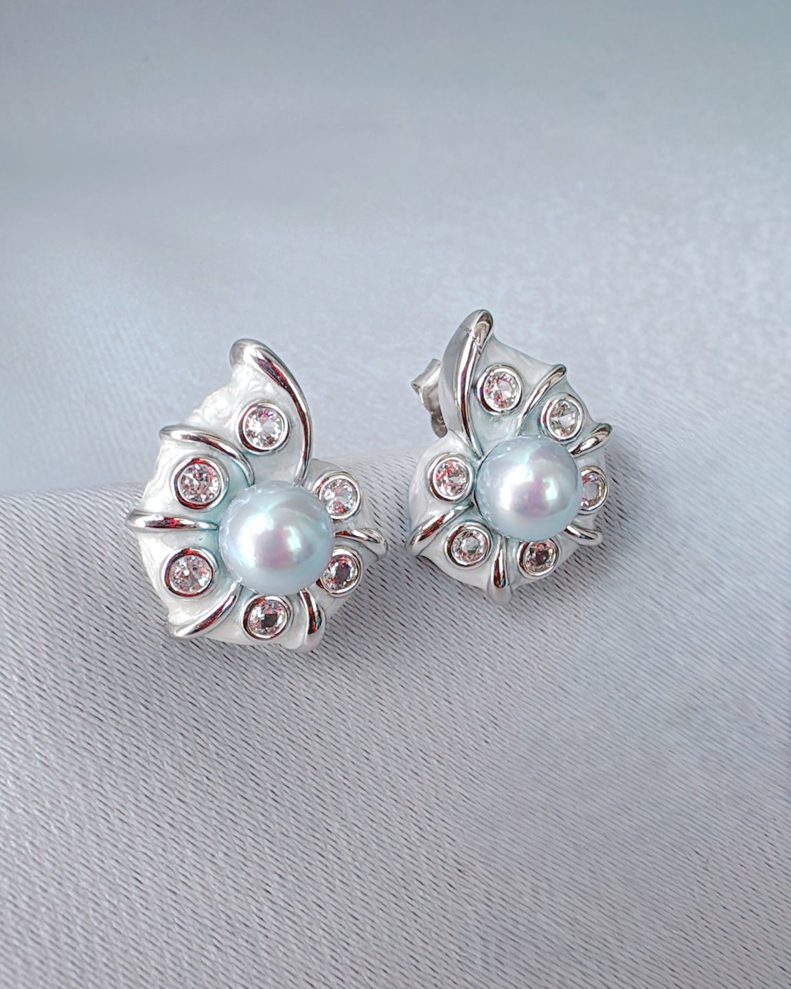 遺産の貝殻（青いアコヤ貝）