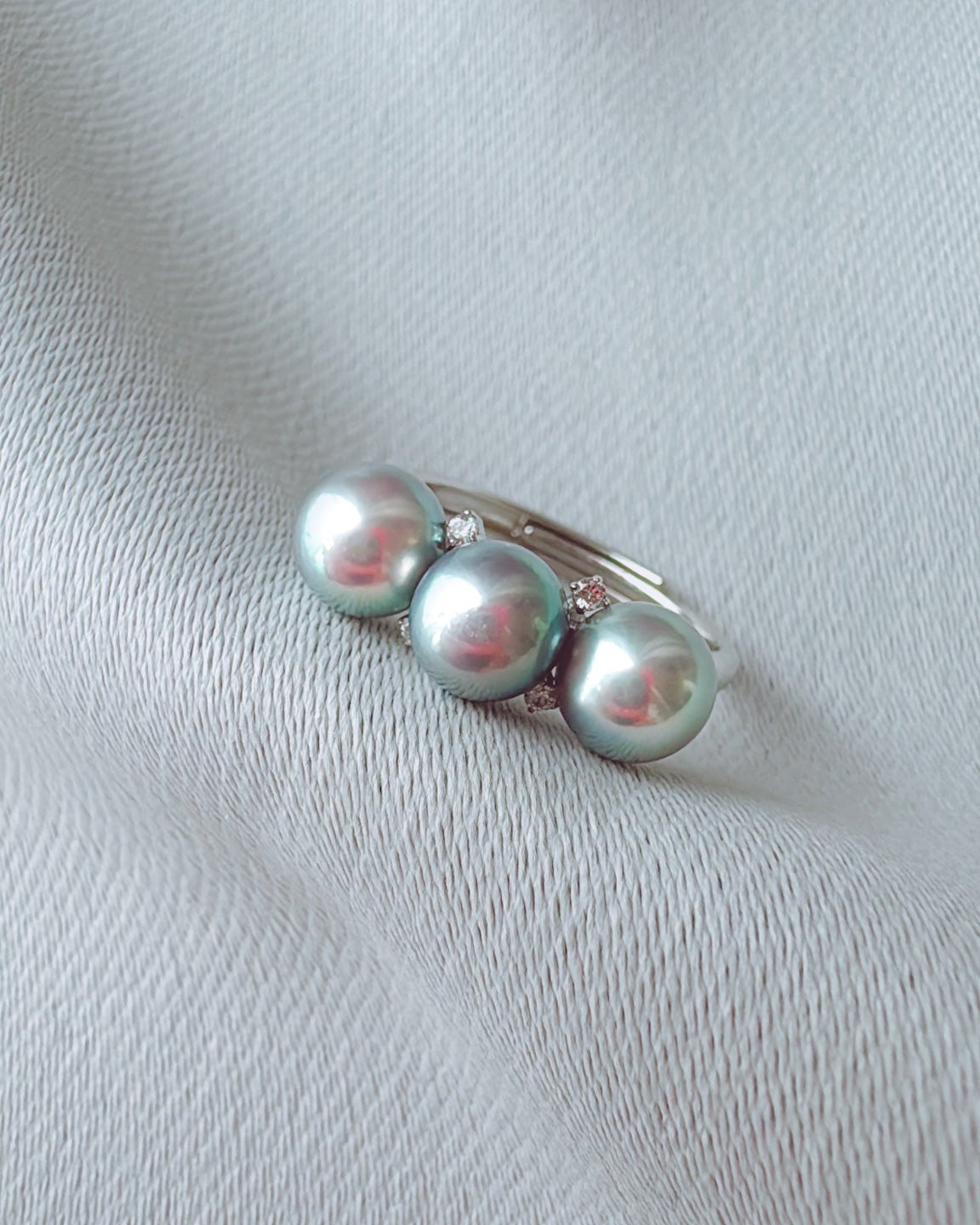 トリニティ・アコヤス（アコヤ）