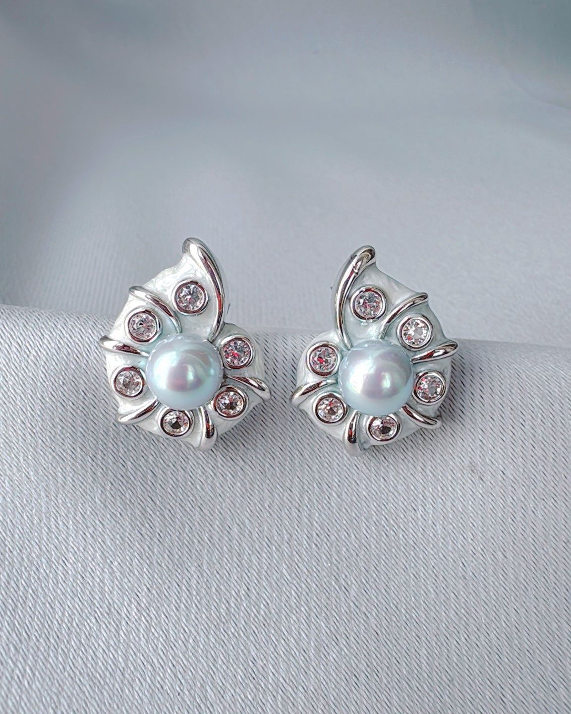 遺産の貝殻（青いアコヤ貝）