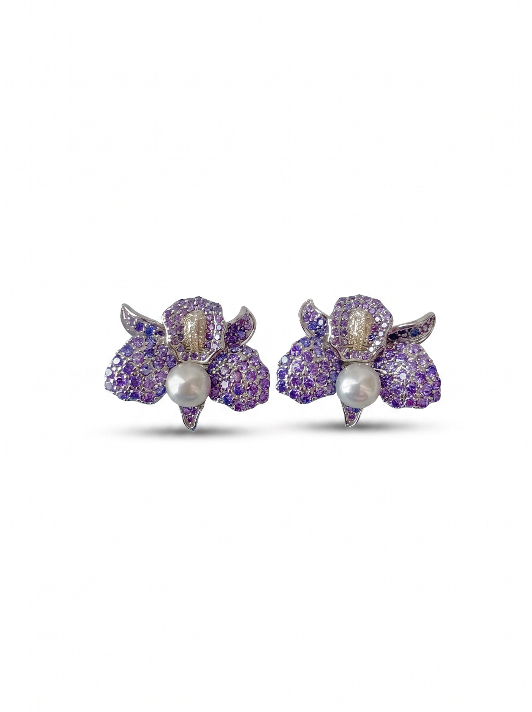 Orquídeas Salvajes Tanzanita (edición especial)
